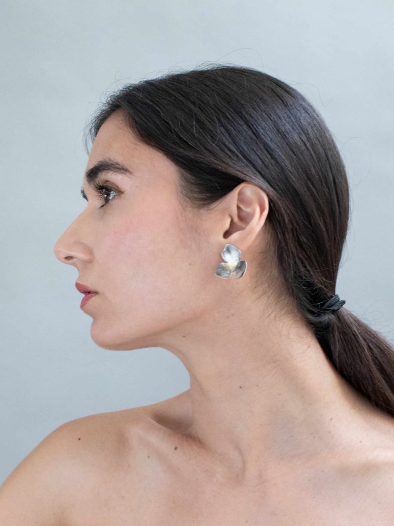ANII Jewellery Gold Silver Earrings - Image 4