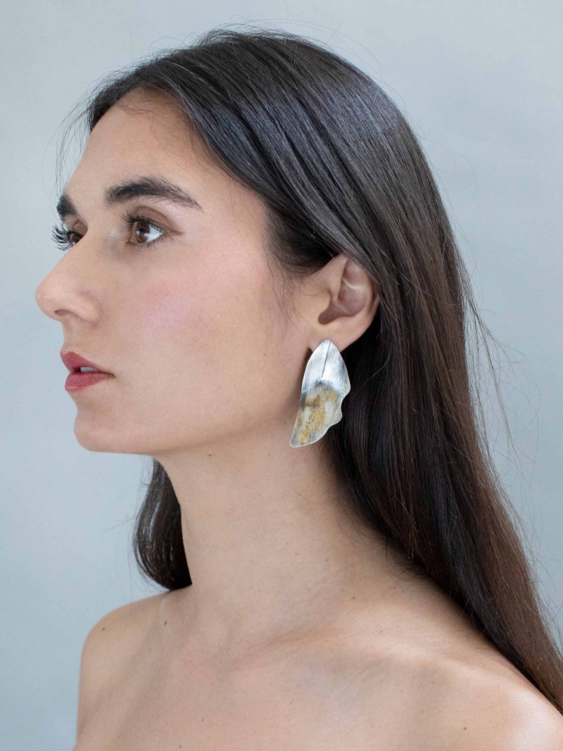ANII Jewellery Gold Silver Earrings - Image 3