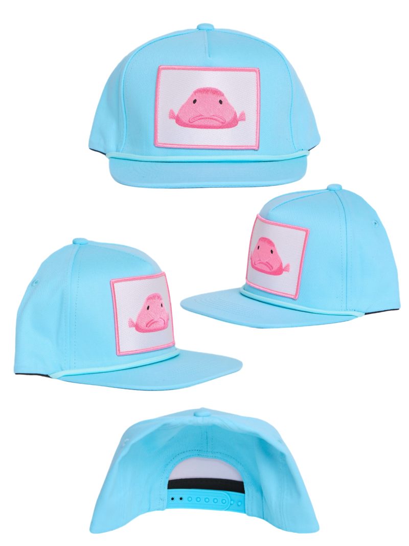 INFILTRATOR Hat - Blobfish - Image 3