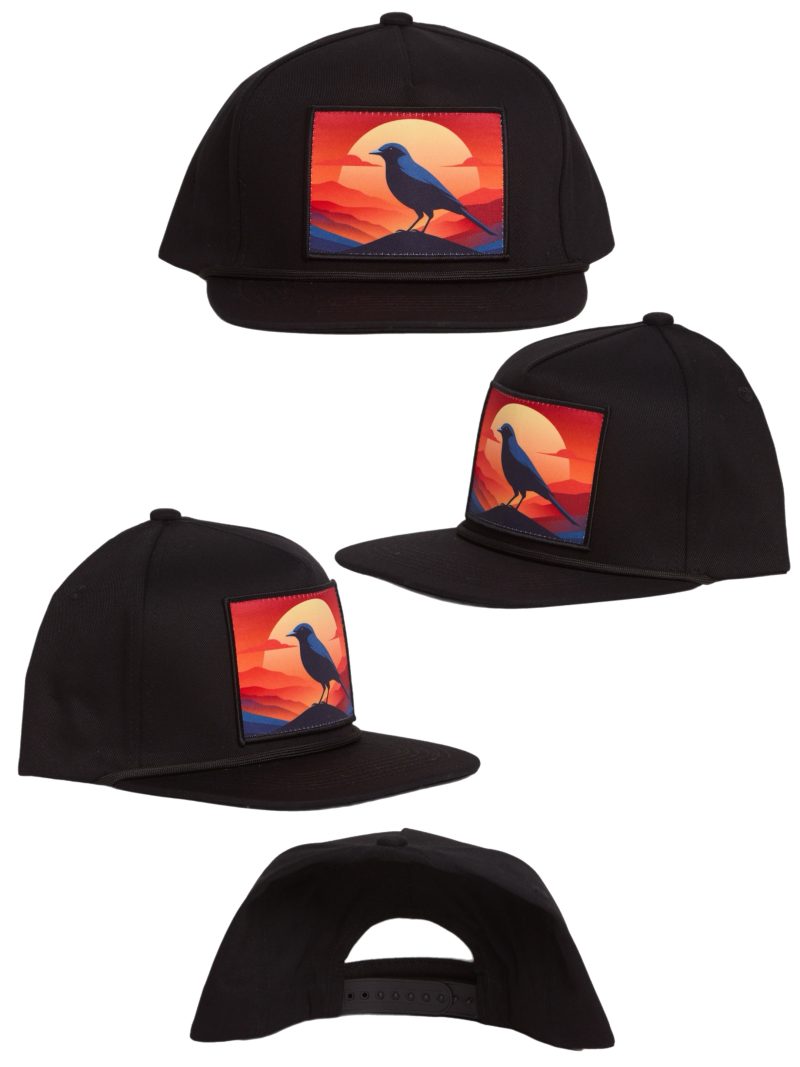 INFILTRATOR Hat - Crow At Sunset - Image 2