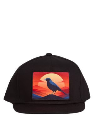 INFILTRATOR Hat - Crow At Sunset